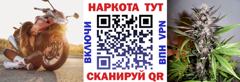 Продажа наркотиков Мураши Каннабис  mega ссылка  Галлюциногенные грибы  Меф мяу мяу  ГАШИШ  Cocaine 
