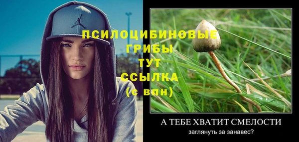 кокаин премиум Белокуриха
