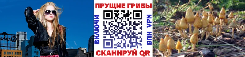 ссылка на мегу как зайти что такое Мураши Галлюциногенные грибы MAGIC MUSHROOMS